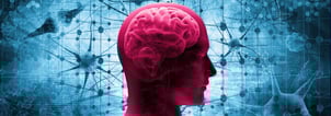 The Real Future Of Artificial Intelligence