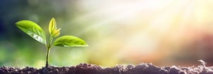 3 ways to achieve growth through attribution